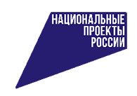 Национальные проекты России Национальные проекты России.