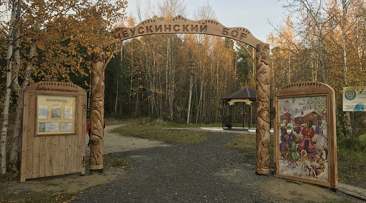 Памятник природы регионального значения «Чеускинский бор» с.Чеускино.