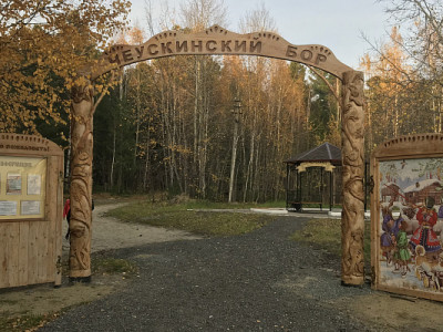 Памятник природы регионального значения «Чеускинский бор» с.Чеускино.