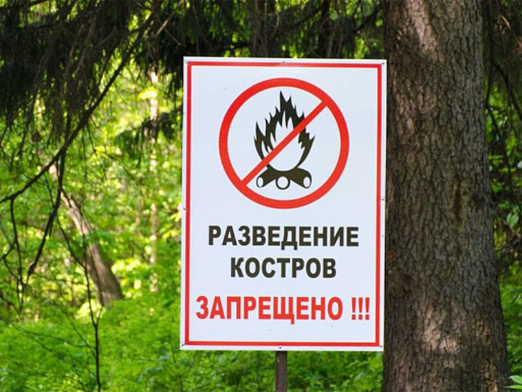 Обстановка с лесными пожарами. Обстановка с лесными пожарами.