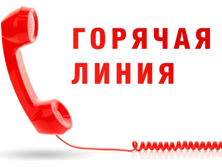 Горячая линия. Горячая линия.